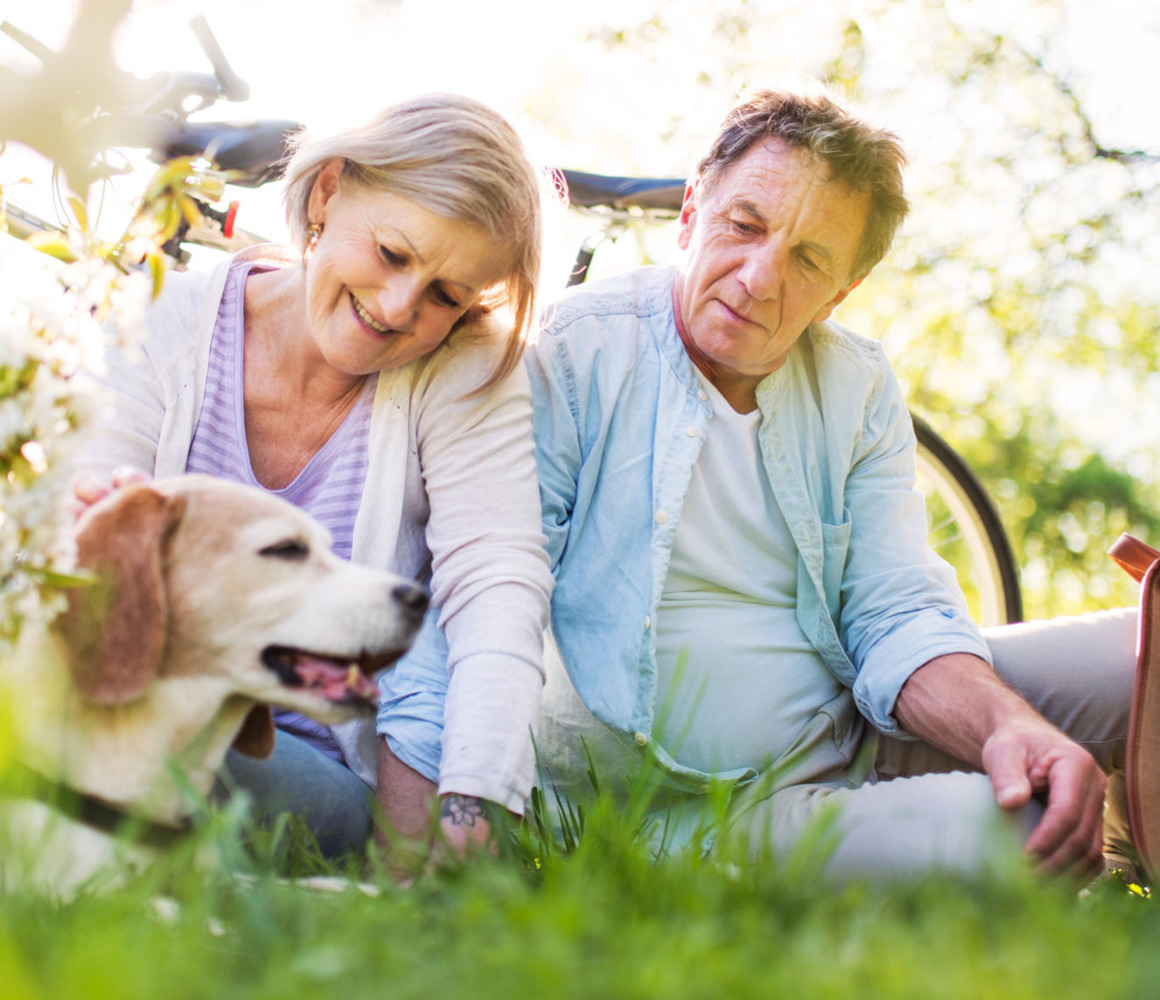 Estate Planning: Don’t Forget Your Pet!